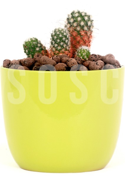 Dekoratif Ithal Kil Bilyesi 5 Lt fırsatları