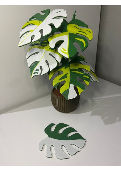 3dyapay Çiçek Bardak Altlığı indirimleri