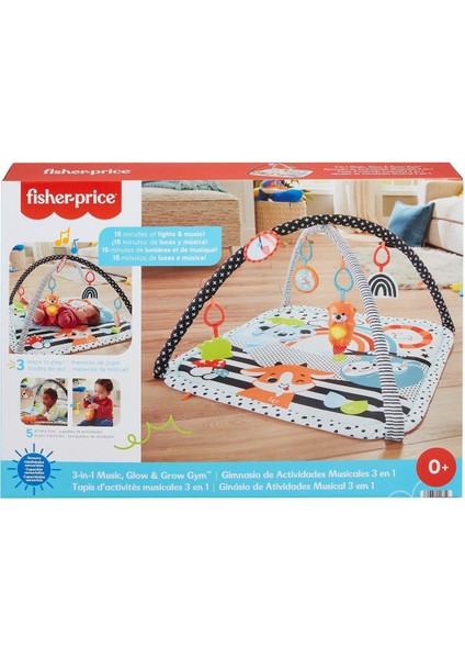 HBP41 Fisher-Price Neşeli Hayvanlar 3ü1 Arada Jimnastik Merkezi