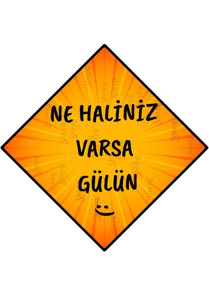 Motivasyon Yazılı Alüminyum Tabela – Ne Haliniz Varsa Gülün – Renkli ve Esprili Duvar Dekoru
