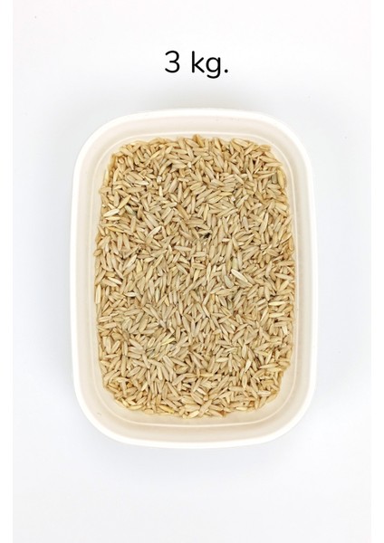 Tüm Kuşlar Için Doğal Taze Soyulmuş Iç Yulaf - 3 kg