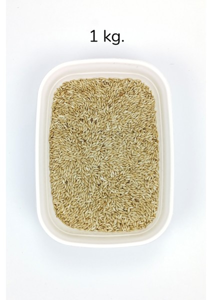 Doğal Taze Kanarya Sade Kuş Yemi - 1 kg