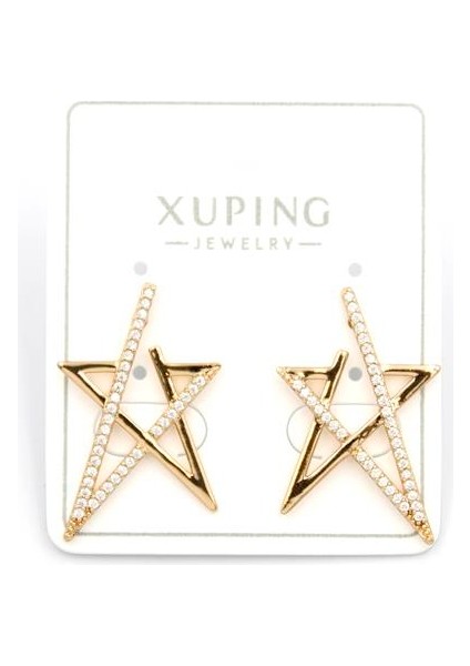 Taşlı Yıldız Küpe - Rose