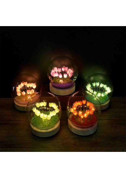 Luxury Cam Lale Fanus LED Işıklı Ahşap Tabanlı Pilli Mini Dekoratif Gece Lambası Romantik Hediyelik modelleri