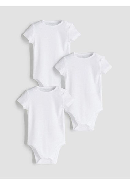 Basic Kız Bebek Çıtçıtlı Body 3'lü (W5)