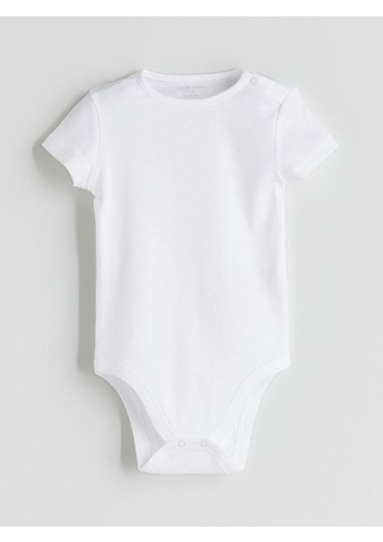 Basic Kız Bebek Çıtçıtlı Body 3'lü (W5) fiyatları