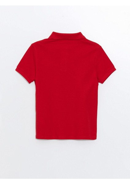 Polo Yaka Kız Çocuk Tişört (W5) modelleri