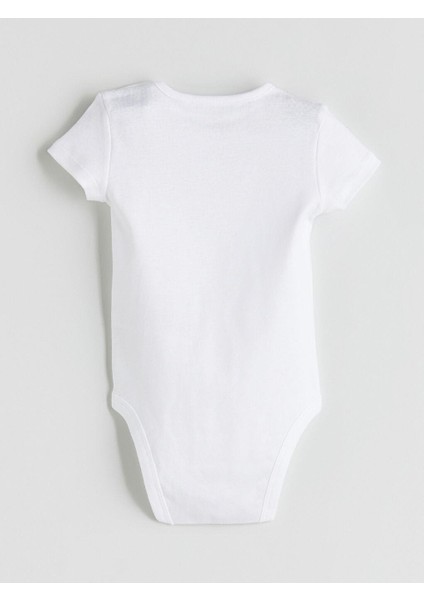 Basic Kız Bebek Çıtçıtlı Body 3'lü (W5) indirimleri
