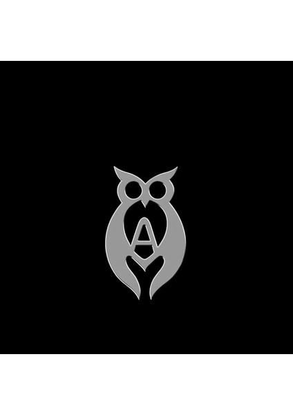 925 Ayar gümüş kolye baykuş SM7709