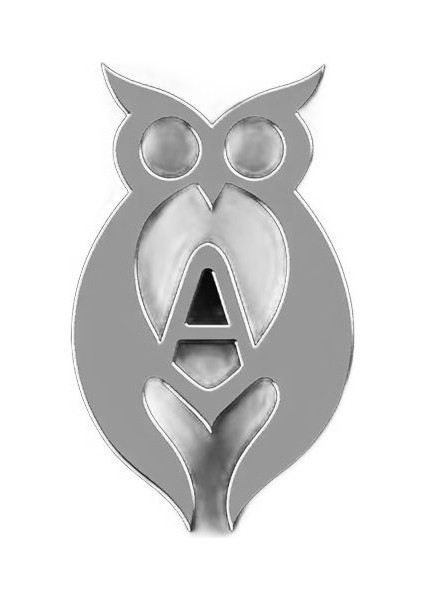 925 Ayar gümüş kolye baykuş SM7709 fiyatları