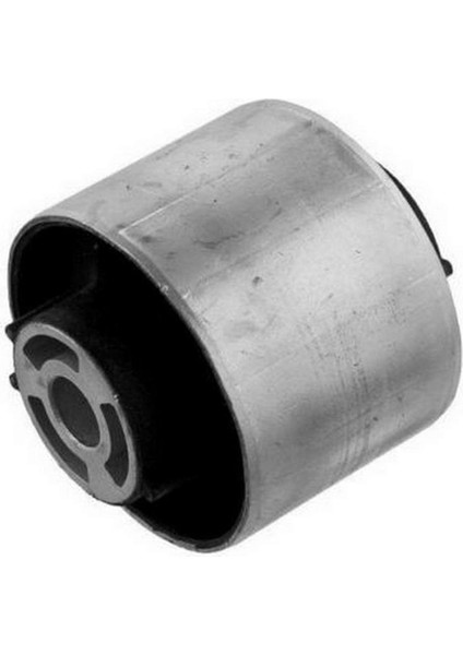 Salincak Burcu Arka Sharan Almla