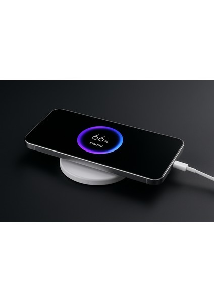 Xiaomi Mi 15 Ultra Şeffaf Mika Sararmaz Sert Magsafe Kılıf modelleri