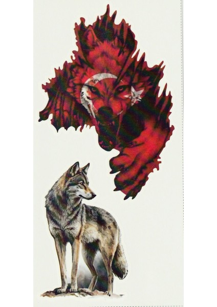 Kurt Geçici Vücut Dövmesi