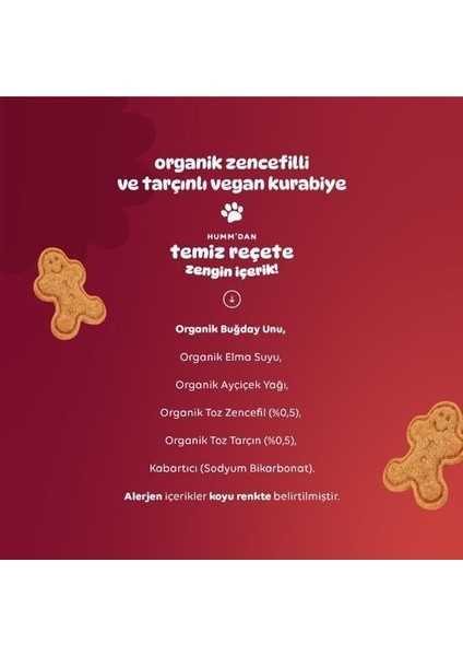 Humm Organik Zencefilli ve Tarçınlı Vegan Kurabiye 55 gr fırsatları