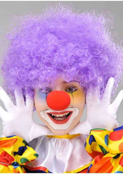 Mor Renk Kıvırcık Afro Bonus Peruk Takma Saç ve Kırmızı Burun Seti fiyatları