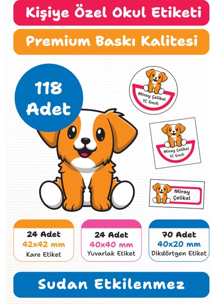 118 Adet Kişiye Özel Okul Etiketi | Kalem Defter Kitap Için Isim Yazılabilir Sticker Seti Model:1