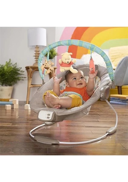 Winnie The Pooh Dots & Hunny Pots Sallanan Bebek Titreşimli Bebek Koltuğu, Müzik ve 3 fiyatları