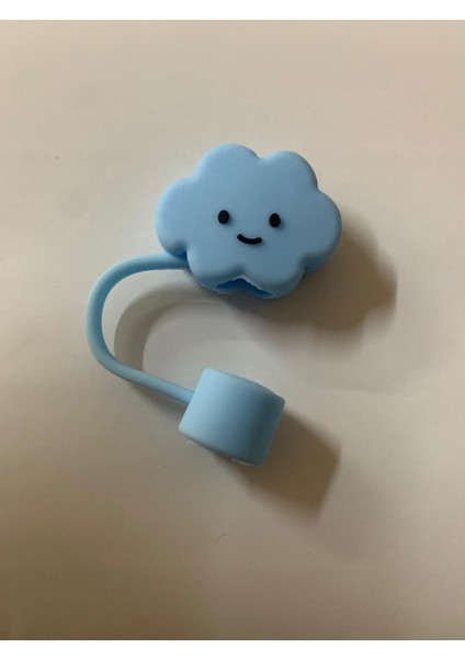 Termos Pipet Koruyucu Süstermos Pipet Koruyucu Süs