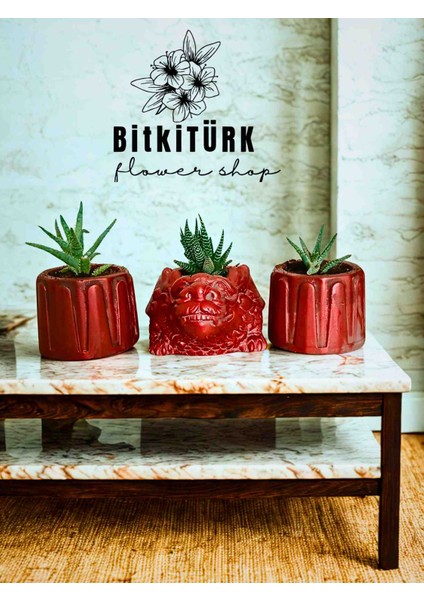 -Bakır Efektli Ejderha & Kaktüs Seti – 3 Huwarthia | Beton Saksıda Özel Tasarım