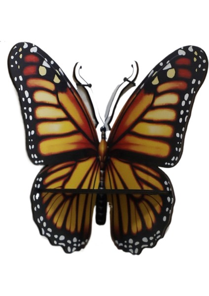 Renkli Depolama Rafı B&b Ev Duvar Dekorasyonu (Yurt Dışından)