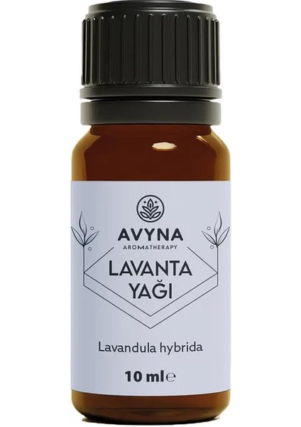 Reyo Avyna Lavanta Uçucu Yağı 10 ml Saf ve Doğal