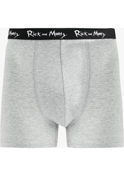 Lisanslı Rick And Morty Baskılı Pamuklu 3'lü Boxer Set fırsatları