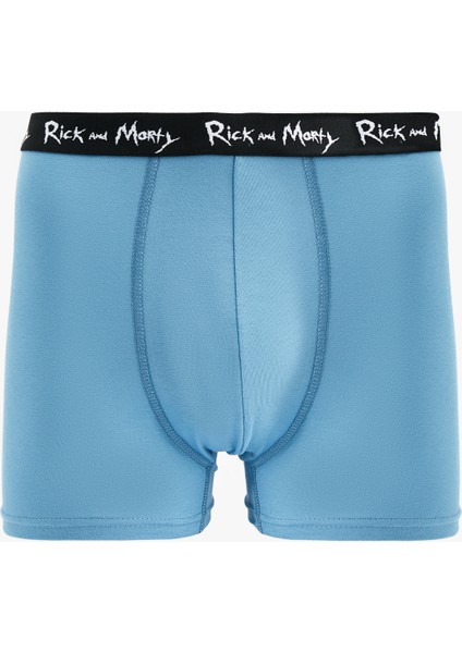 Lisanslı Rick And Morty Baskılı Pamuklu 3'lü Boxer Set indirimleri