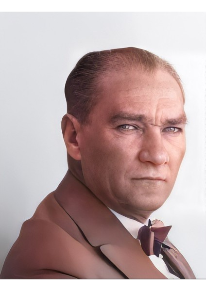 Atatürk Tablo Serisi 08 Çerçevesiz 45X65CM Pvc Tablo fiyatları