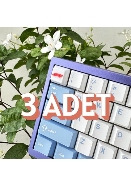 Formula 1 F1 Logolu 3’lü Mekanik Klavye Keycap Seti Gamer & Rgb Klavye Aksesuarı fiyatları