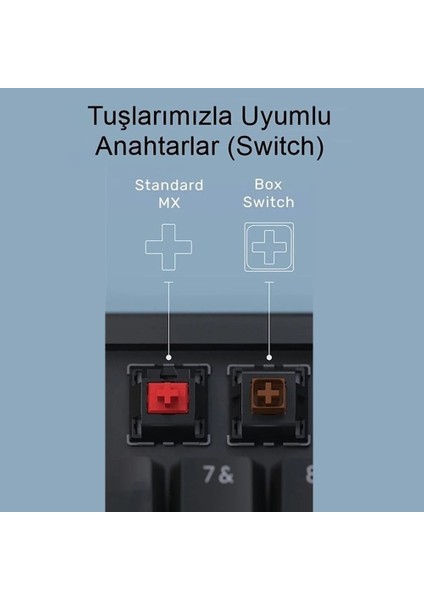 Overwatch Temalı Keycap (2'li Set) | Gri-Siyah Renk | Mekanik Klavyelere Özel Tuş Başlığı Seti fırsatları