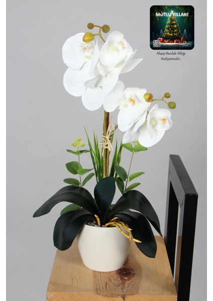Dekoratif Mini Yapay Islak Orkide Beyaz 45 cm