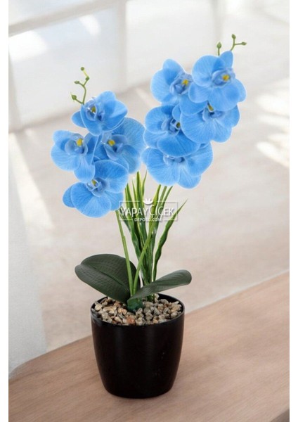 Dekoratif 2li Mini Yapay Islak Orkide Tanzimi Mavi 40 cm