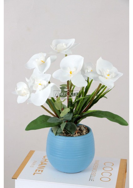 Yapay Islak Orkide 7li Tanzim Saksılı 35 cm Beyaz
