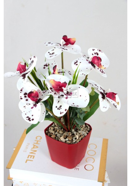 Yapay Islak Orkide 7li Tanzim Saksılı 35 cm Bordo Benekli