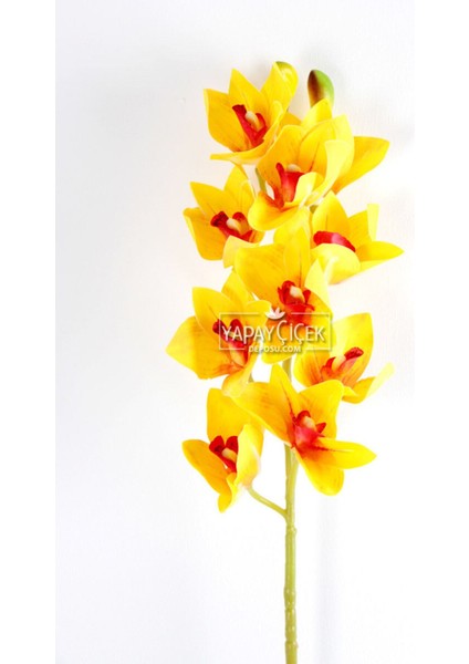 Yapay Islak Dokulu 10 Kandilli Singapur Orkide Çiçeği 75 cm Sarı