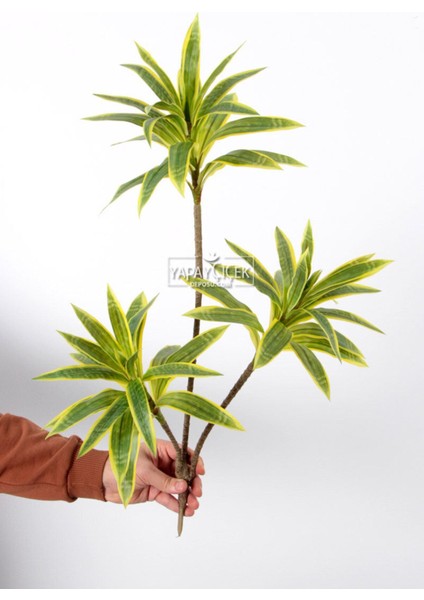Yapay Bitki 3lü Dracaena Reflexa Dalı 75 cm Yeşil-Sarı