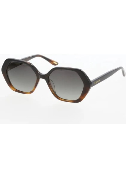 OS3685 C03 Güneş Gözlüğü