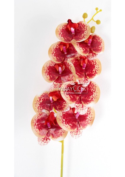 Yapay Dal Baskılı Orkide Çiçeği 88 cm Somon Fuşya Benekli