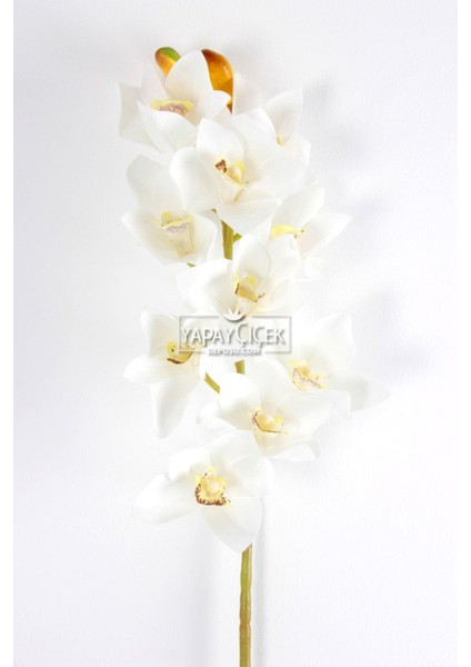 Yapay Islak Dokulu 10 Kandilli Singapur Orkide Çiçeği 75 cm Beyaz