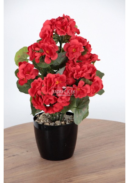 Yapay Çiçek Saksılı Sardunya Çiçeği 30 cm Kırmızı