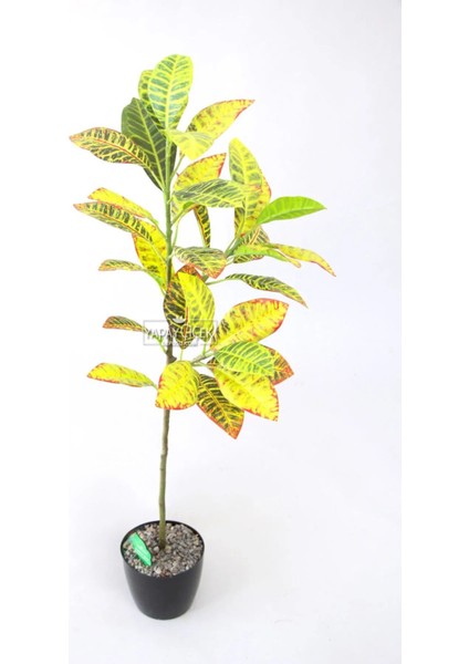 Yapay Ağac Saksıda Kraton Bitkisi 3 Dallı 105 cm