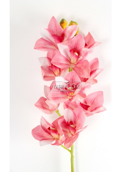 Yapay Islak Dokulu 10 Kandilli Singapur Orkide Çiçeği 75 cm Pembe