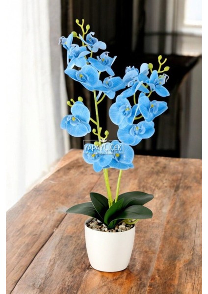 Dekoratif 3lü Yapay Islak Orkide Tanzimi Mavi 50 cm