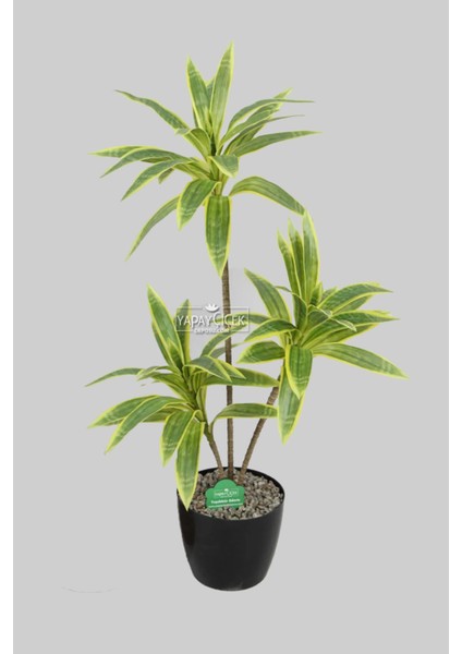 Yapay Ağac Dracena 3 Dallı Gerçek Dokulu 75 cm