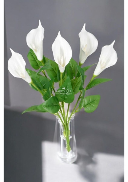 Yapay Çiçek Islak Lateks Lüx Gala Çiçeği 5 Dal Beyaz