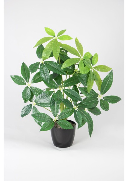 Yapay Pachira Ağacı 18 Yapraklı 80 cm