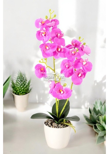 Dekoratif 3lü Yapay Islak Orkide Tanzimi Fuşya 50 cm
