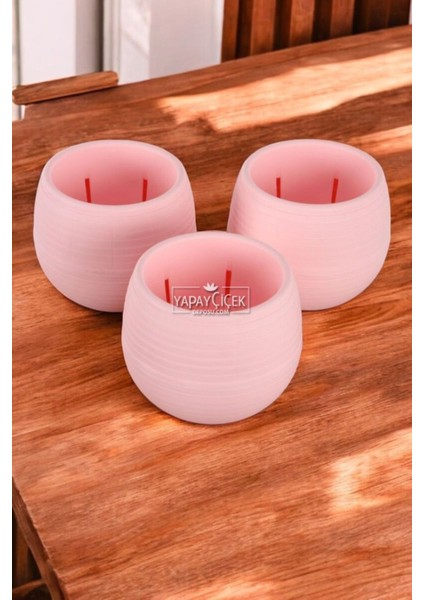 Mini Kaktüs Sukulent Saksısı 3lü Set Pembe Elvan Model 12.5 cm 1.3 Litre
