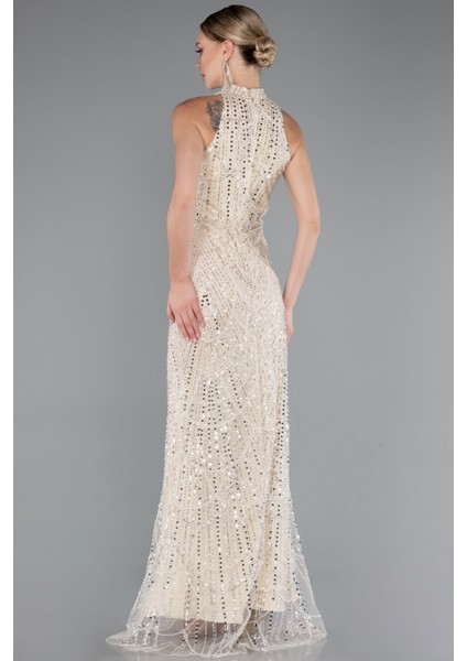 Halter Yaka Boncuklu Uzun Balık Abiye ABU4791 fiyatları