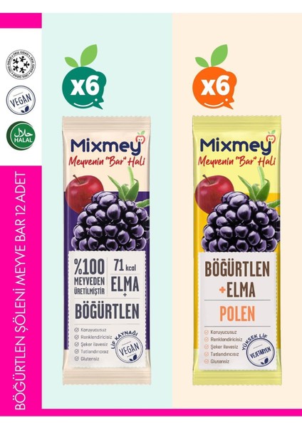 Böğürtlen Şöleni Meyve Barı – 12 Adet | Sağlıklı Atıştırmalıklar – Glutensiz, Koruyucusuz -12 Adet
